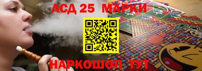 шишки Ставрополь