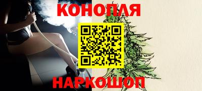 шишки Ставрополь