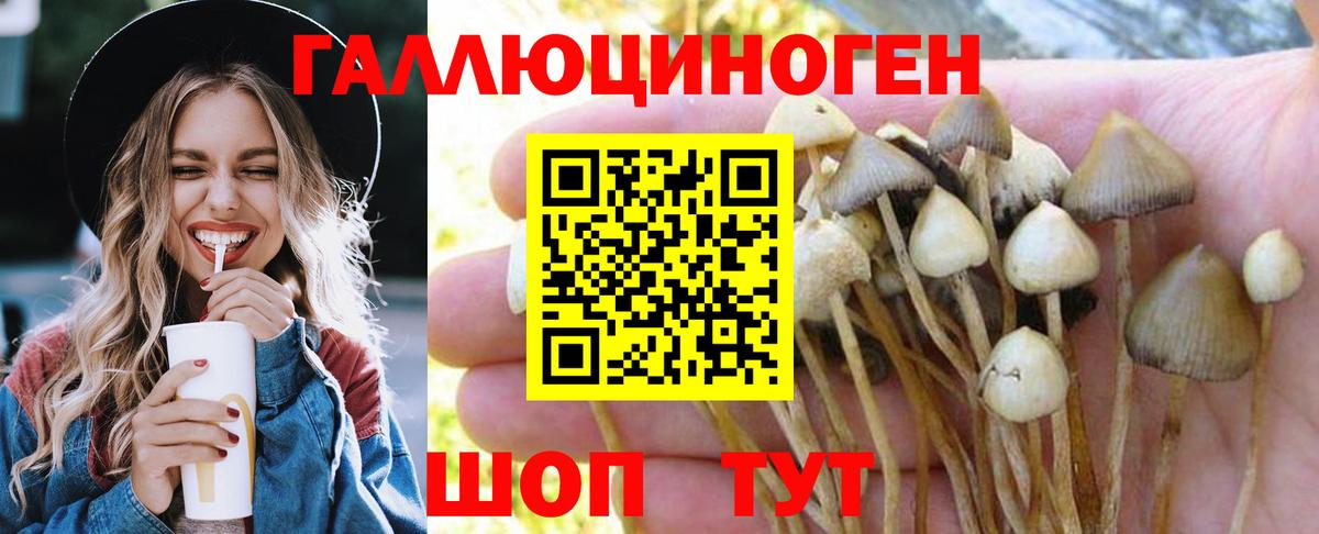 Белая Калитва  Галлюциногенные грибы мухоморы  закладки  Вход с VPN 
